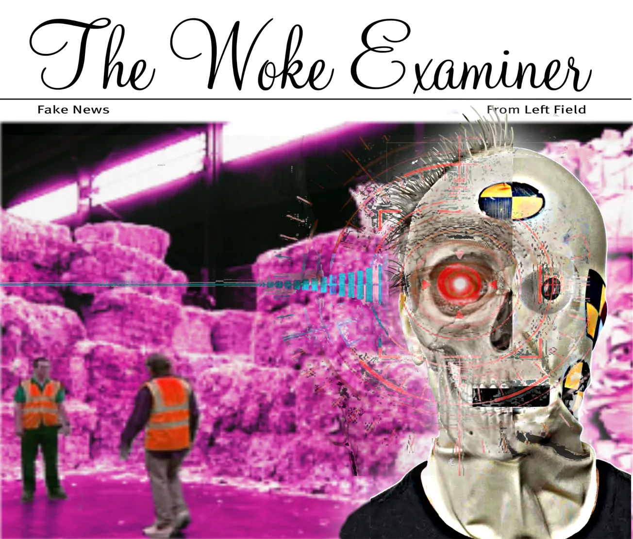 Hacking Reveals Pulped Fiction