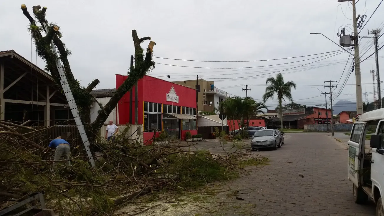 Brazilian Perspectives