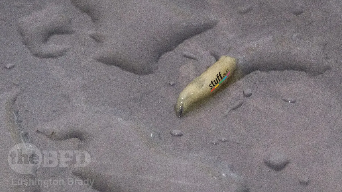 Stuff and White Snakes in the Grass