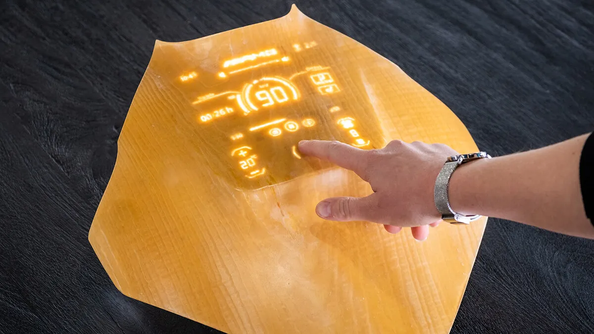 Seeing Through the Wood for the Glass