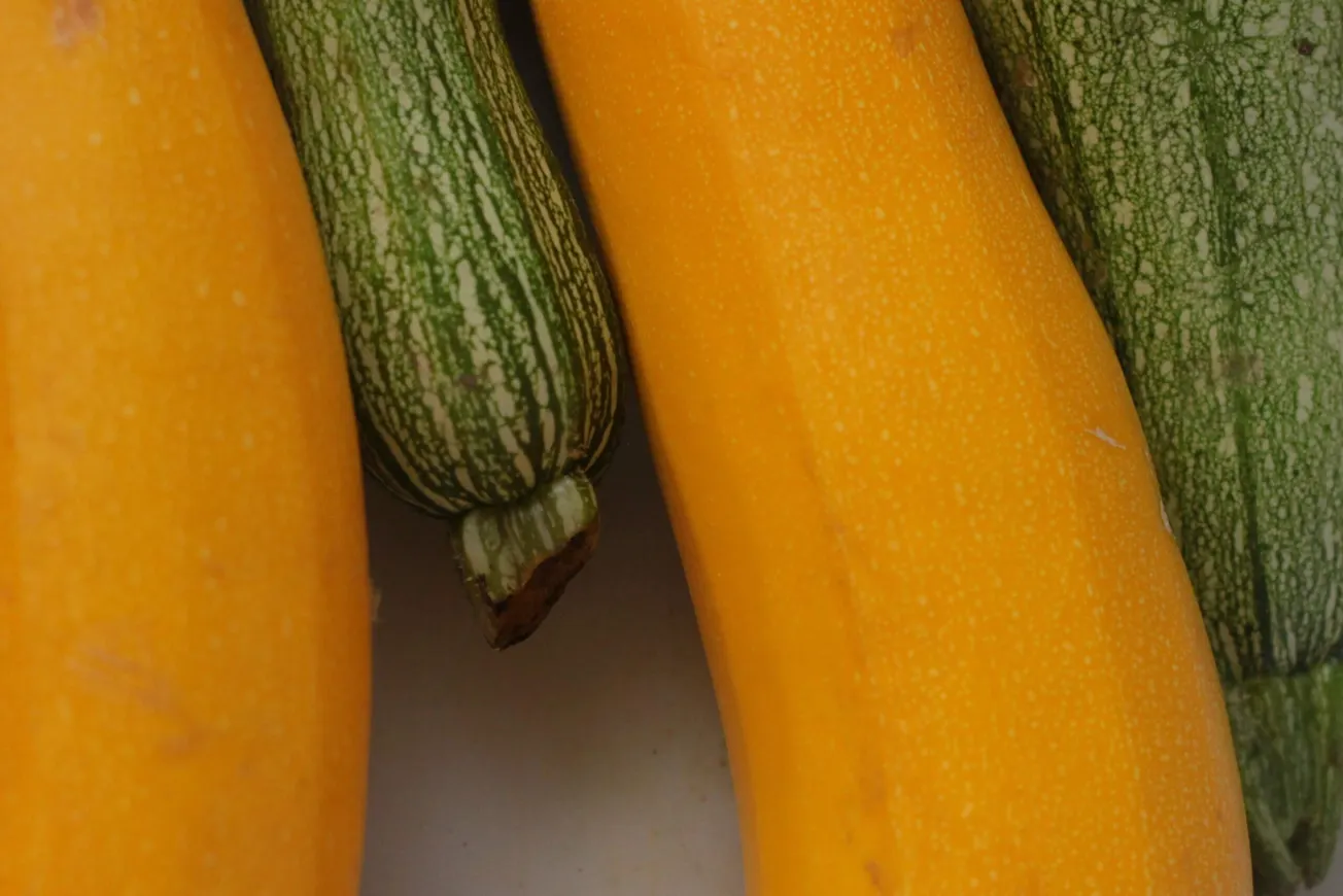 closeup photography of yellow and green vegetables