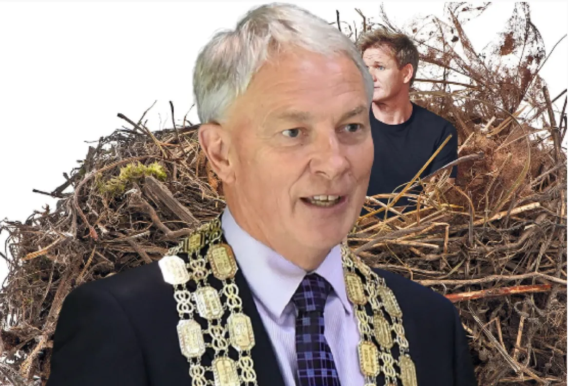 The Council Cuckoo’s Nest