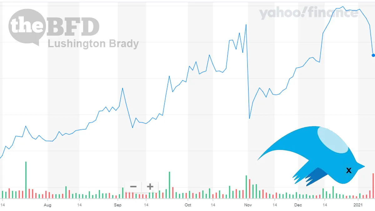 Twitter Shares Plunge After Trump Ban