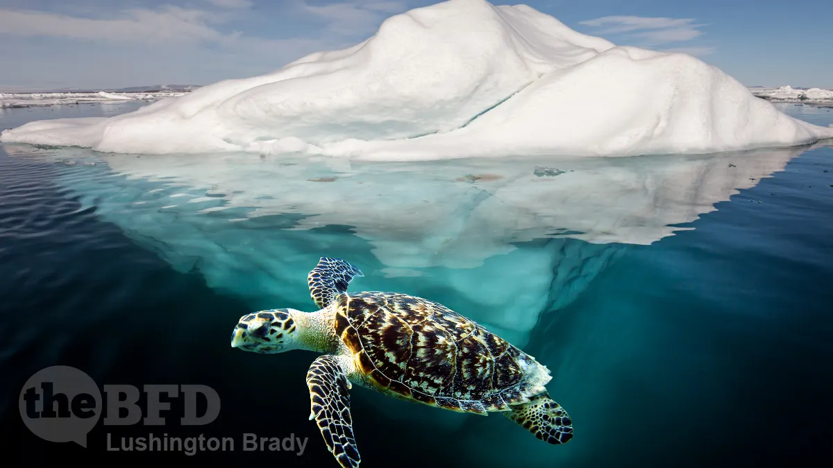 Now Global Warming Is Freezing Turtles to Death