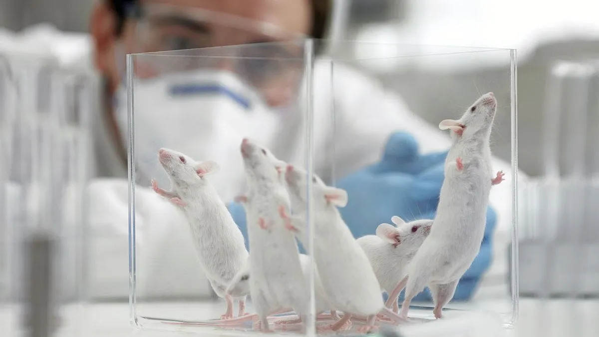 Milgram Is Still Relevant Today