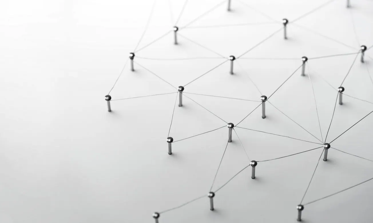 No Joined-up Thinking in Government