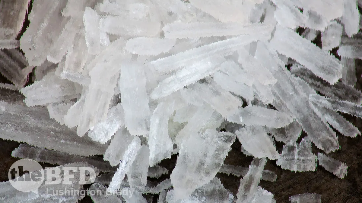 Mexico Isn’t Sending Us Its Best