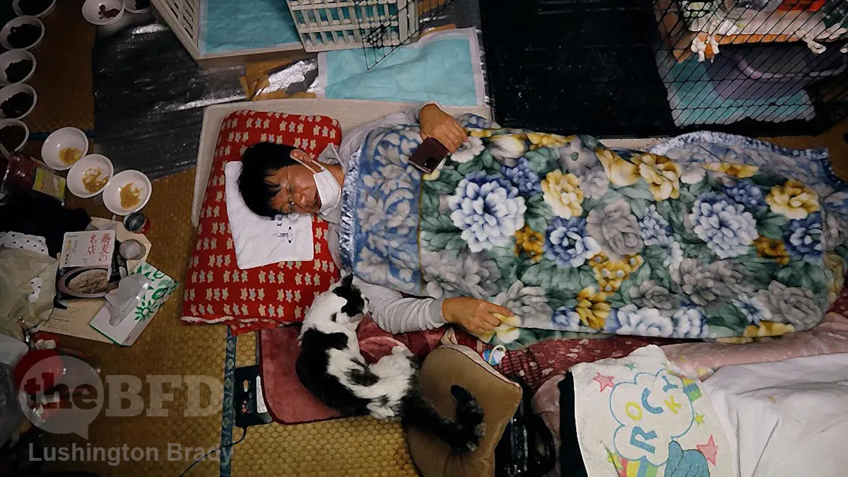 The Cat Saint of Fukushima