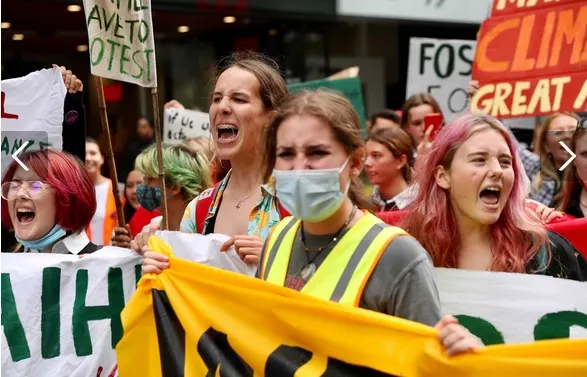 NZ Education System Fails Our Children