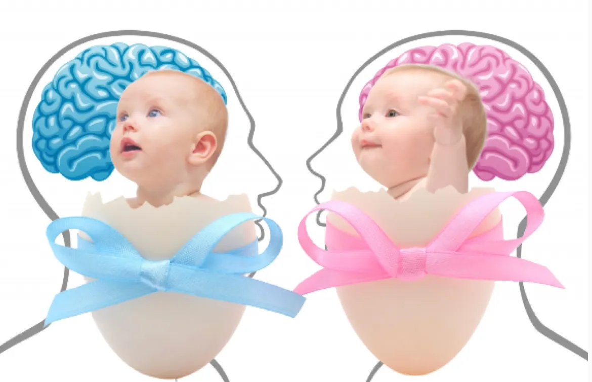 What Is the Evidence for Gender Medicine?