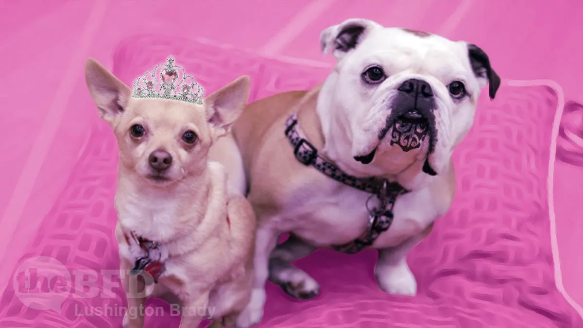 The Trans Tasman Clown Show