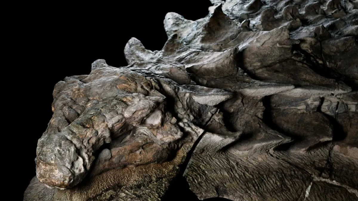 The “Dinosaur Mummy” of Alberta