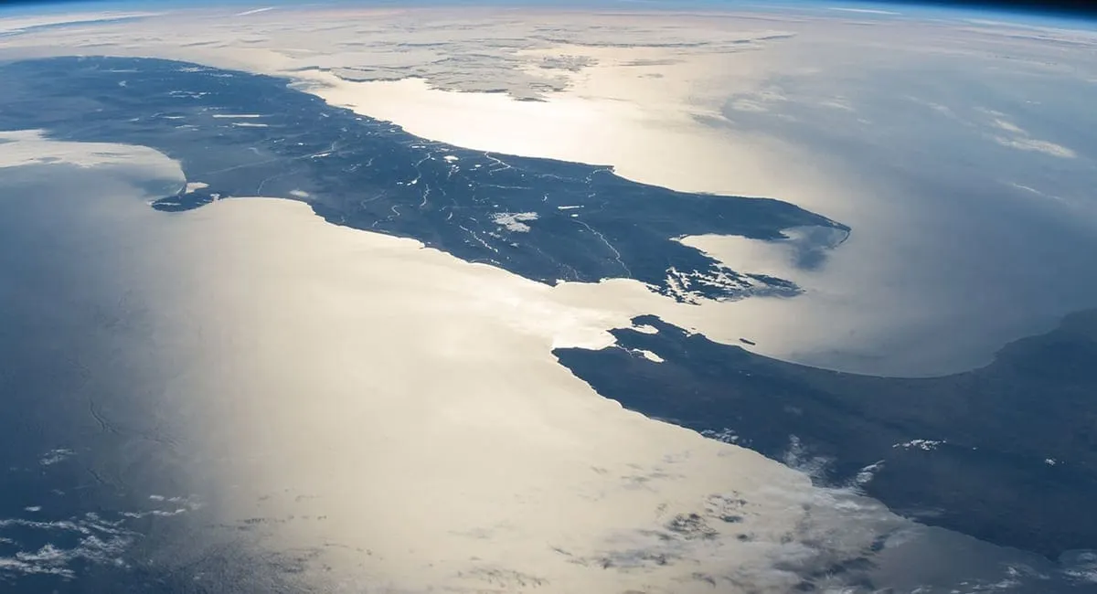 The Gradual Collapse of Jacinda’s NZ