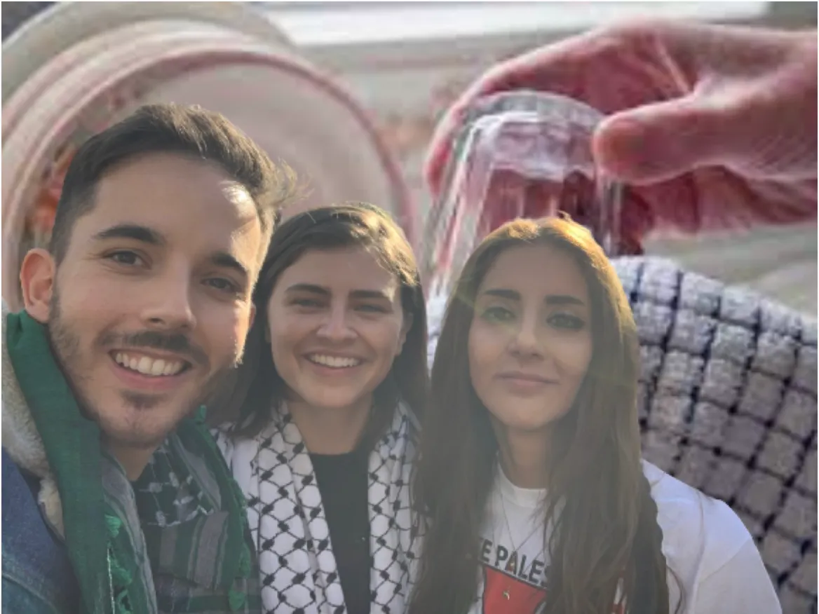 How Green Party Candidates Are Chosen