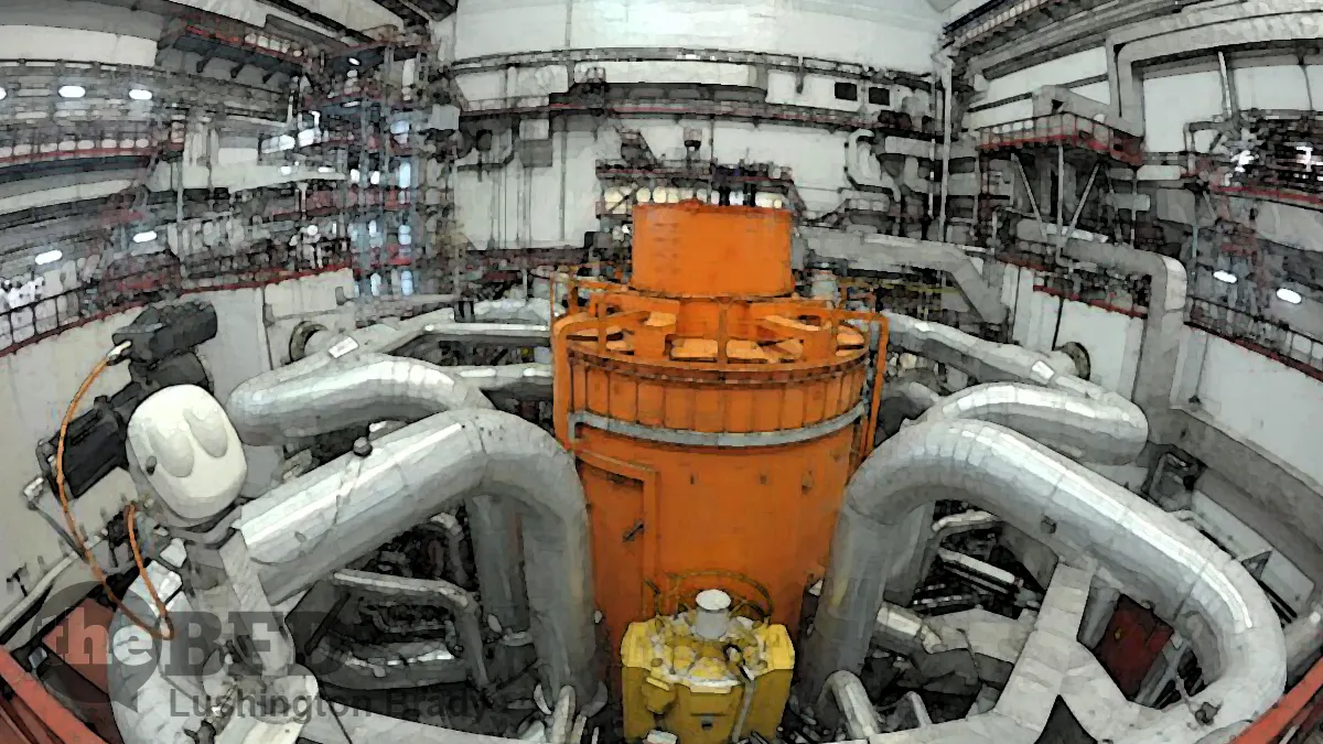 What Are They Building in There?