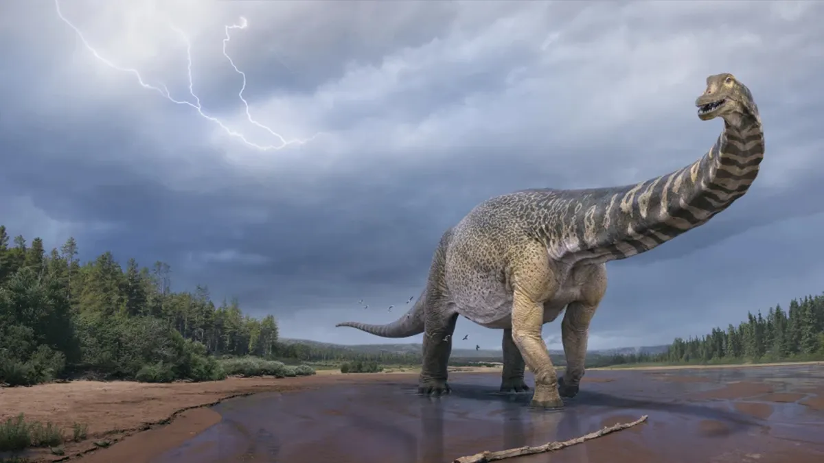 Australia’s Big-Arsed Dinosaur