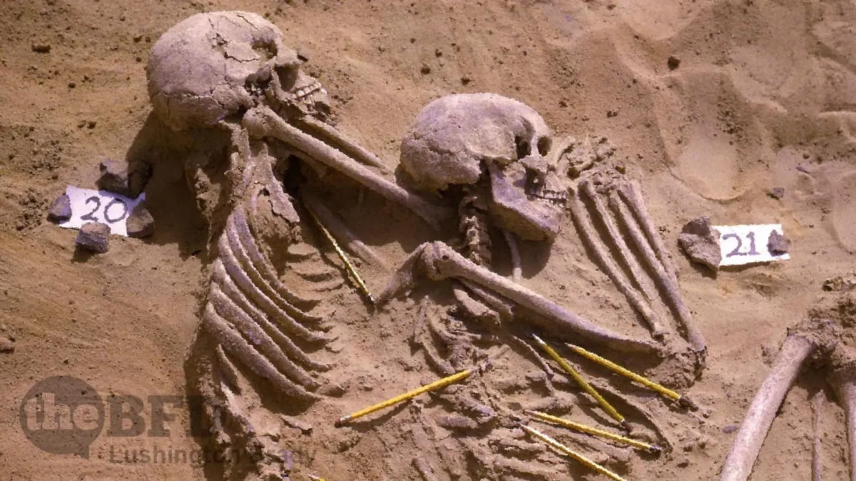 Facts Don’t Lie: Academics Do