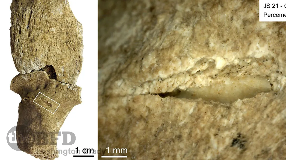 Prehistoric Warfare Was Brutal and Bloody