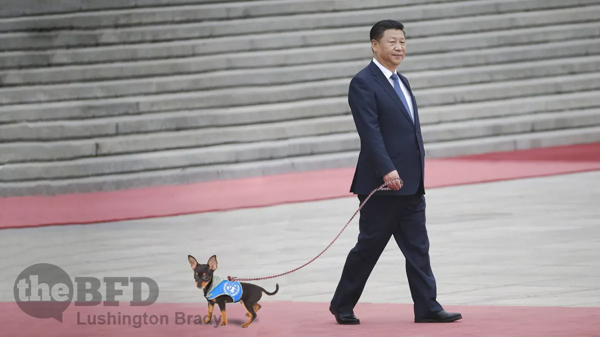 Let’s Stop Pretending the UN Is Fit For Purpose Any More