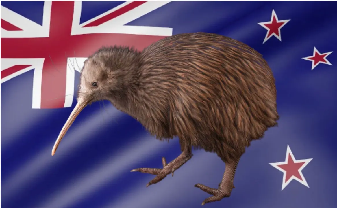Kiwis Can Fly