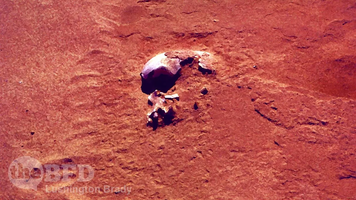 New Twists on Science of Human Origins