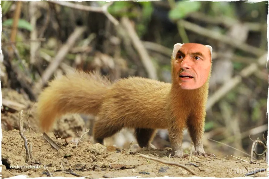 Stoatally Unbelievable