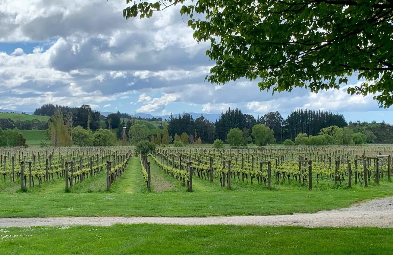 New Zealand’s RSE Scheme: Struggling against COVID