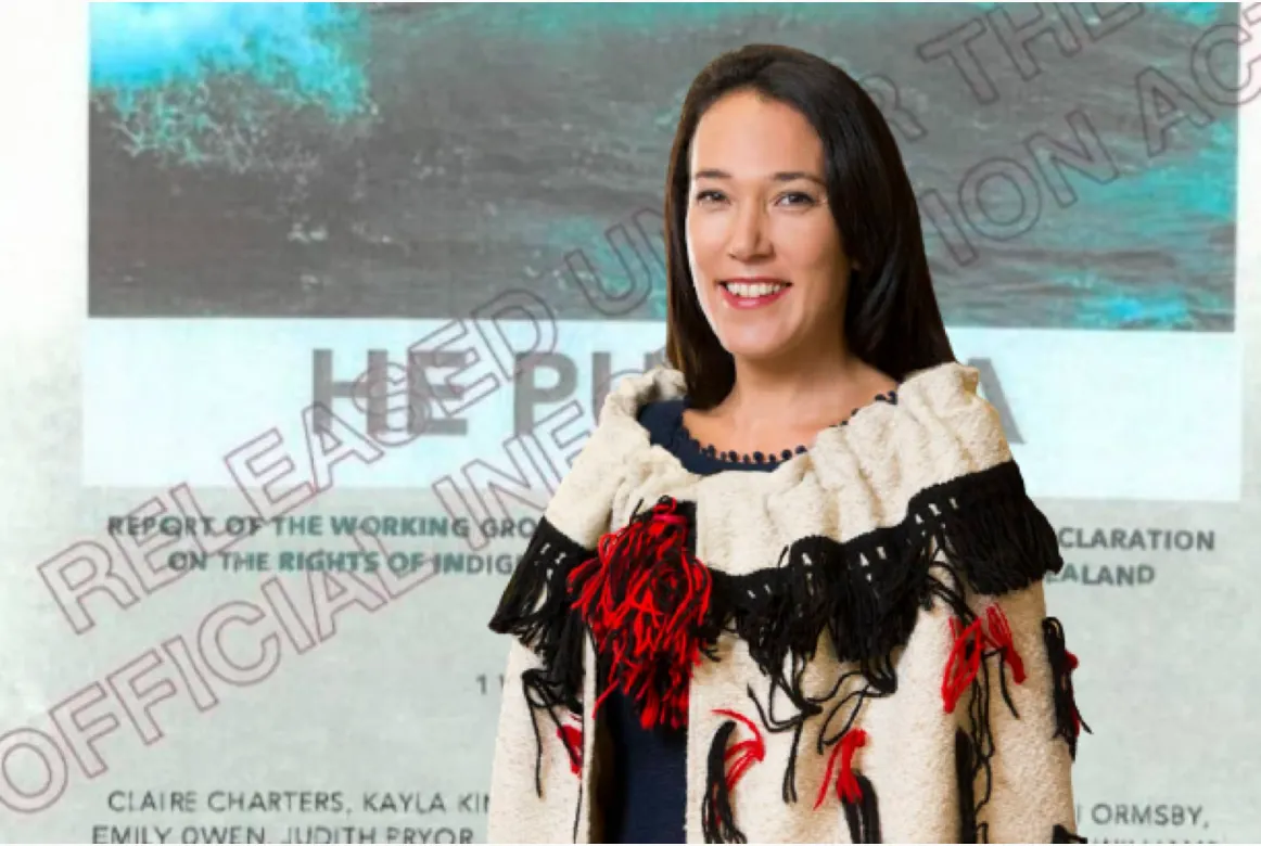 Questions You Can Ask Claire Charters on ZB  about He Puapua