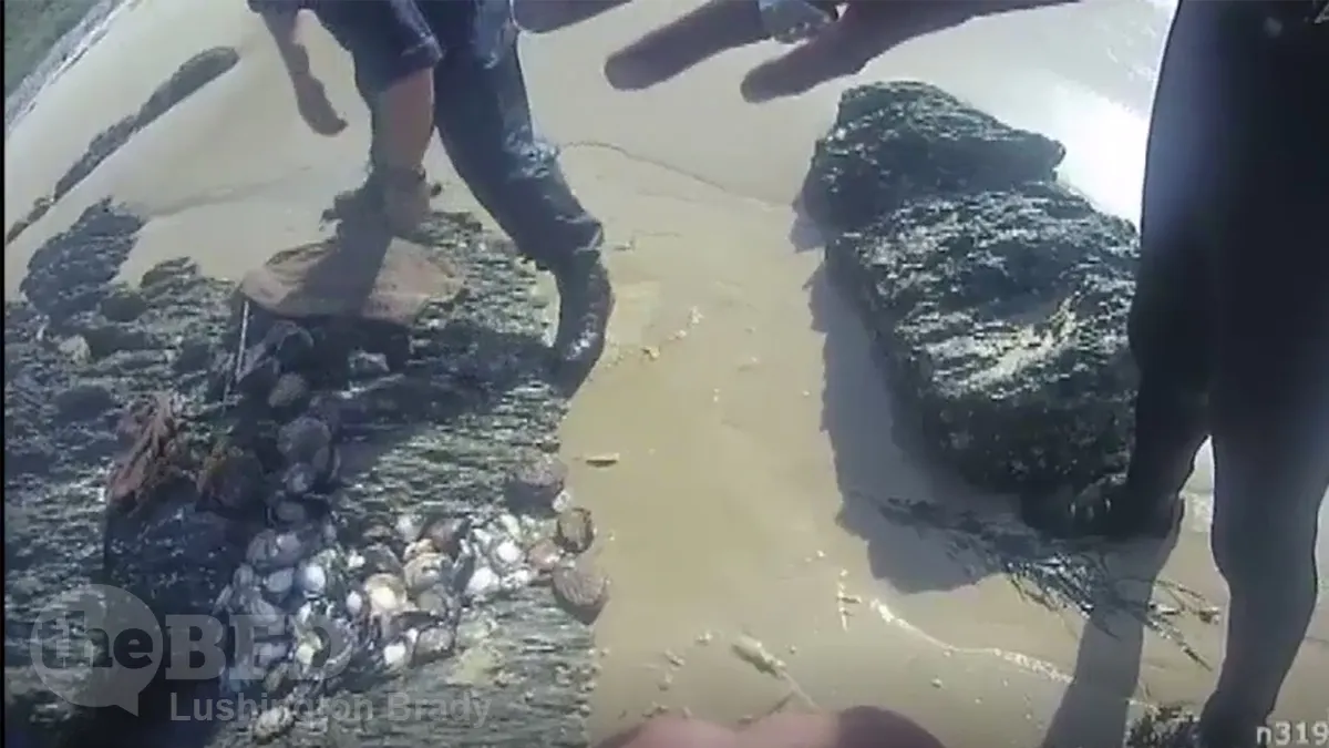 Abalone and the New Apartheid