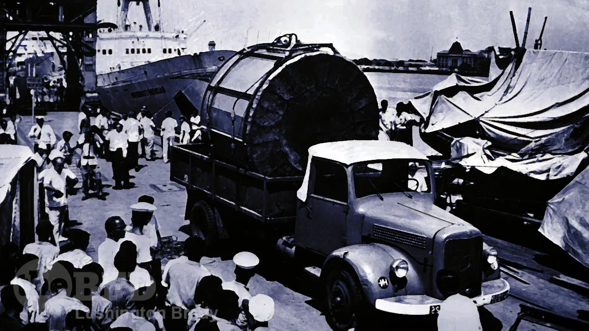 Flight of the Moon Tortoises!