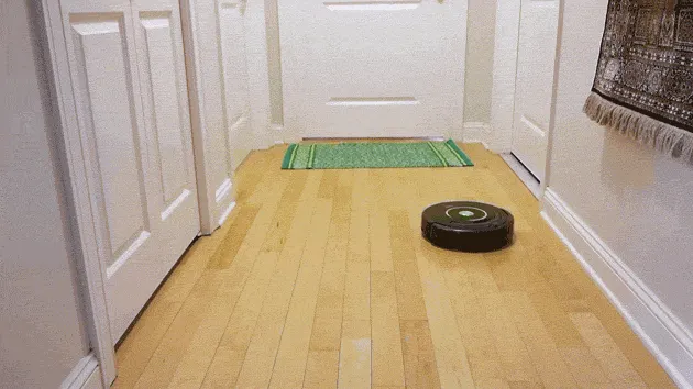 Why the Government Is like a Roomba