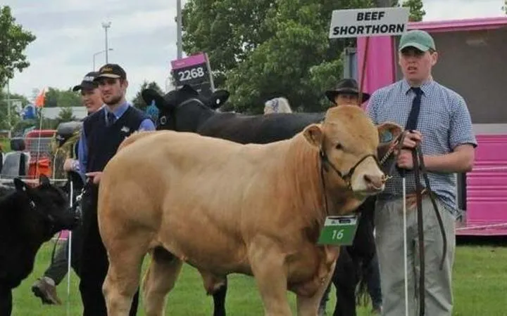 COVID Cancellation of the Day