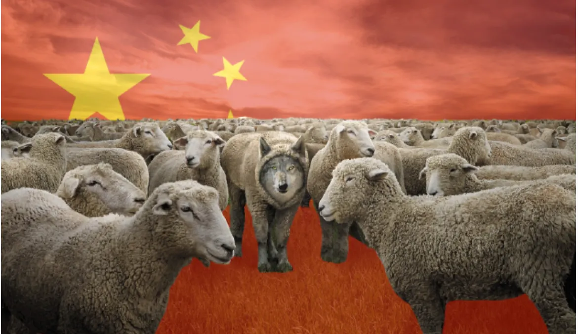 A Wolf in Sheep’s Clothing