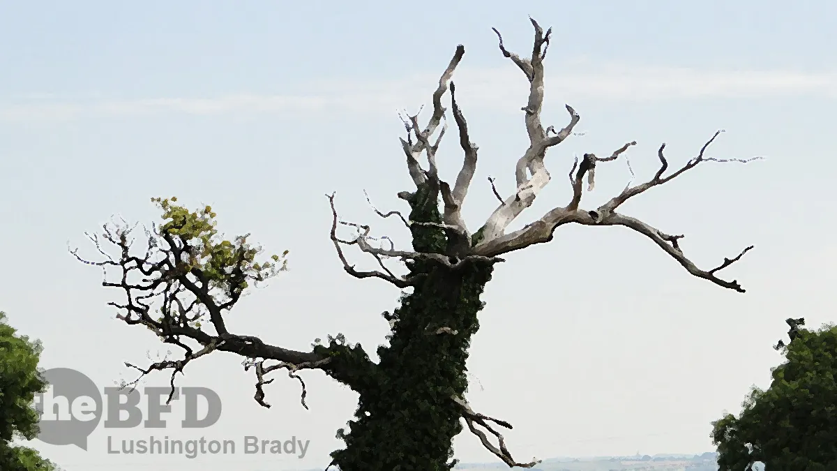 Religious Freedom Bill Chokes Free Speech