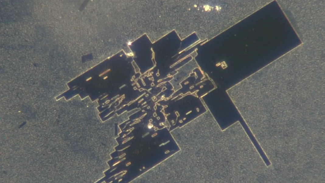 Wall of Silence From NZ Govt