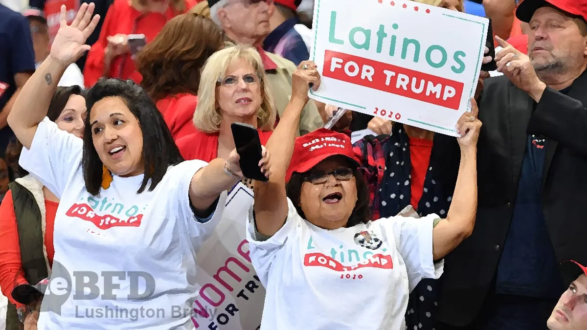 Newshub Shocked: Trump Voters Are Nice