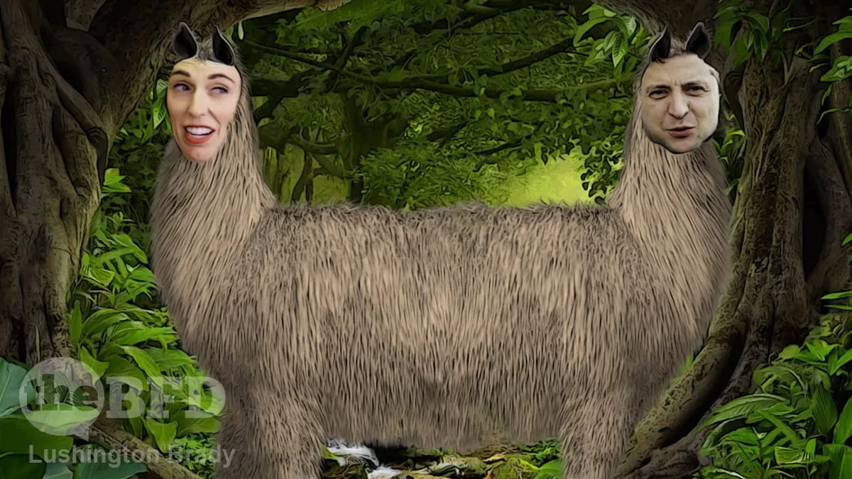 What Ardern and Zelensky Have in Common