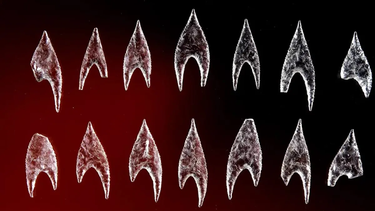 Where the Smart Neolithic Shopped