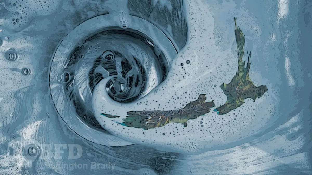 The Left’s Socialist Dreams Are Embedded