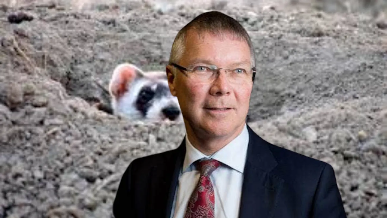 reverse ferret