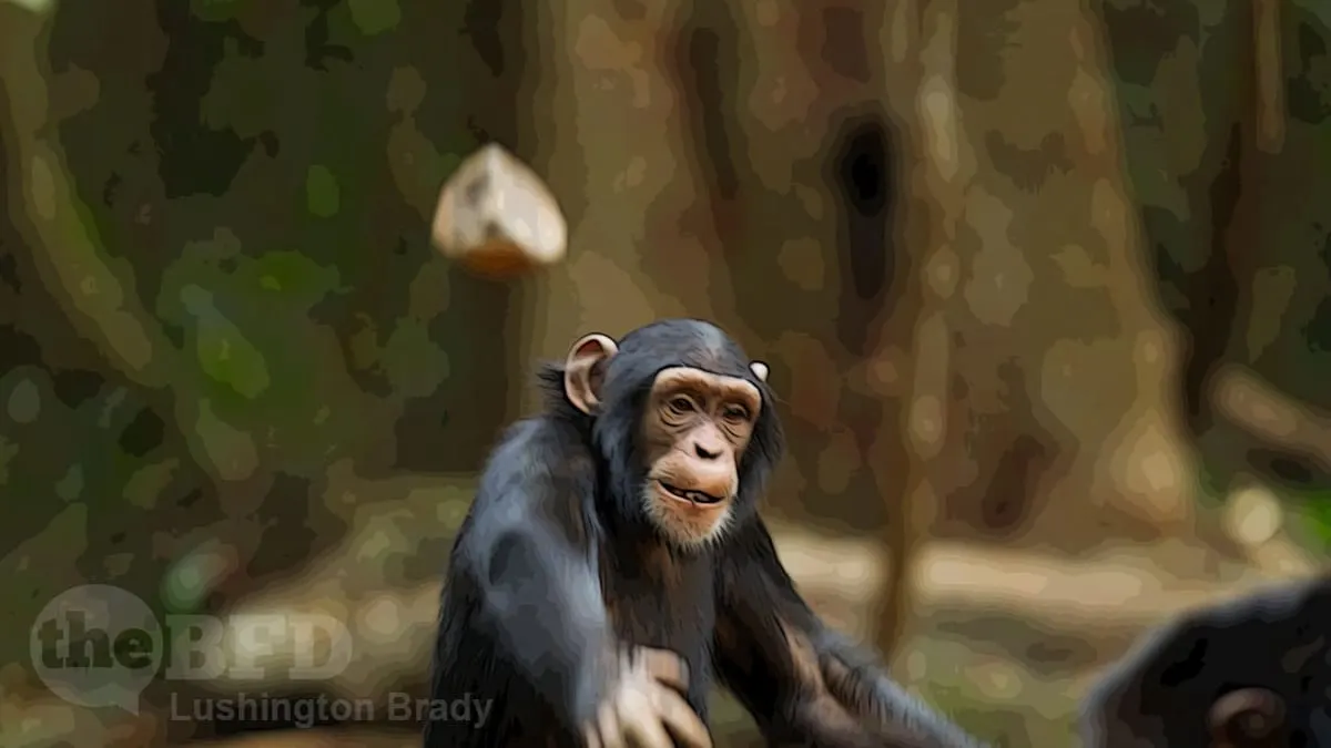 We Are Run by Gibbering Loons