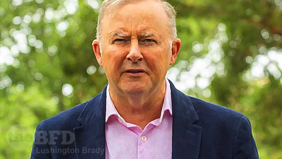 Albo Hasn’t Got a Political Paddle to Save Himself