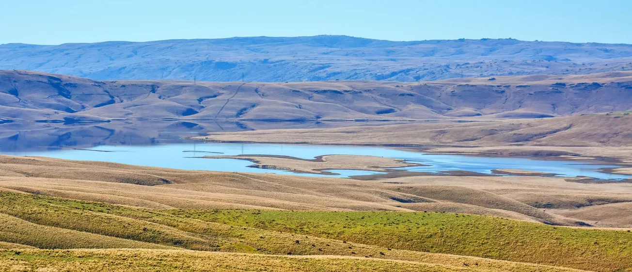 I Will Make a Fortune If This Goes Ahead