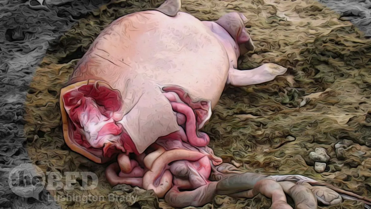 Some Traditions Are More Protected than Others