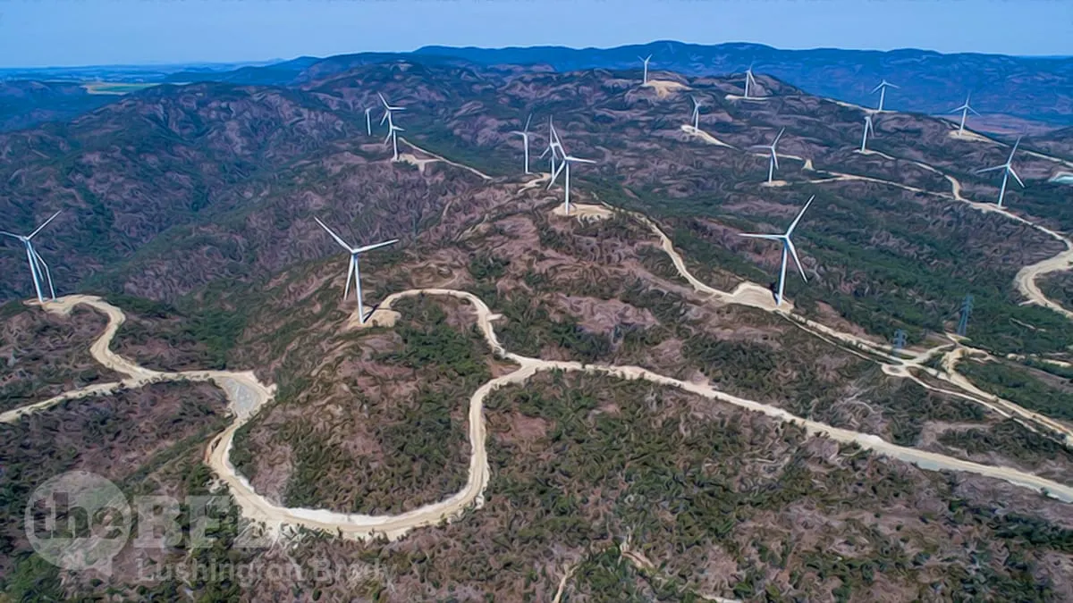 Who Pays to Clean Up After Green Schemes?