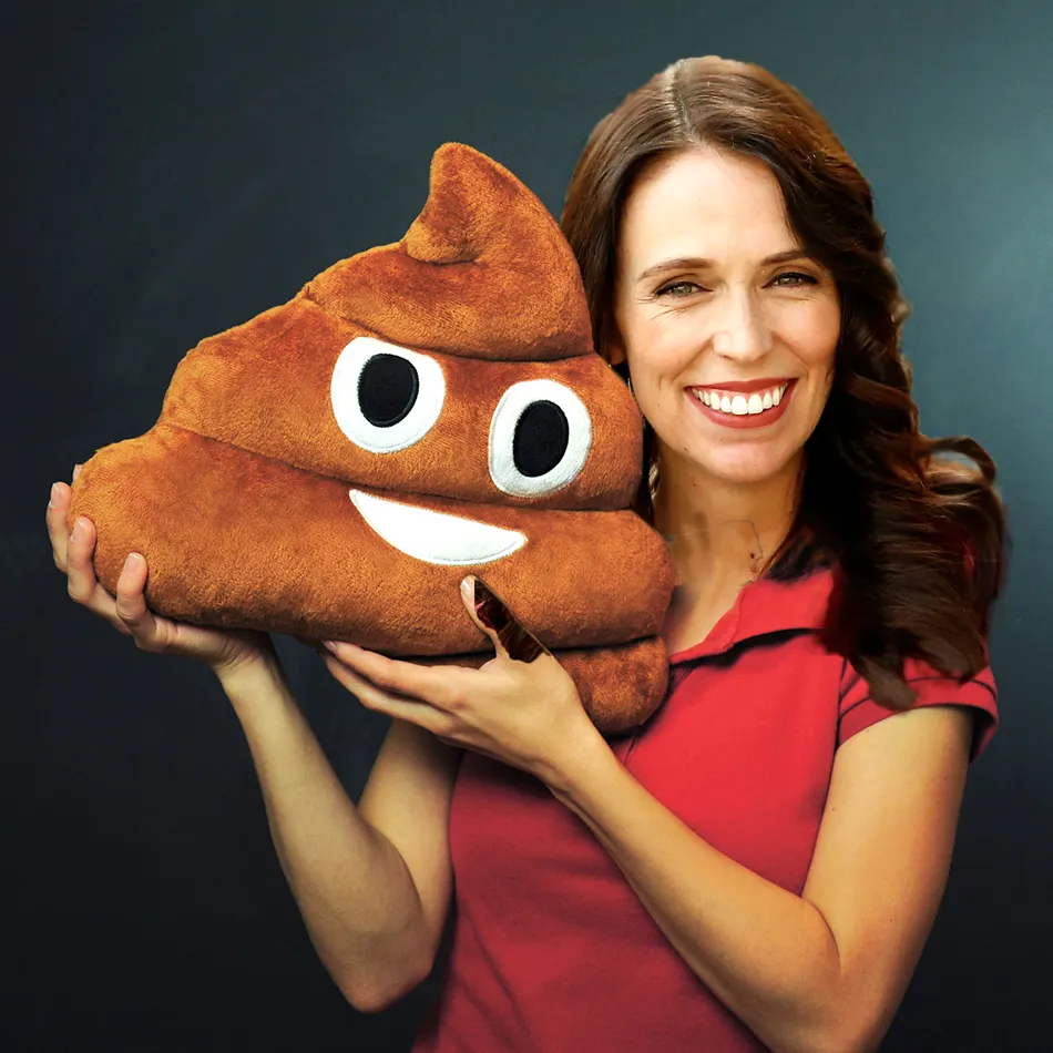 polish a turd