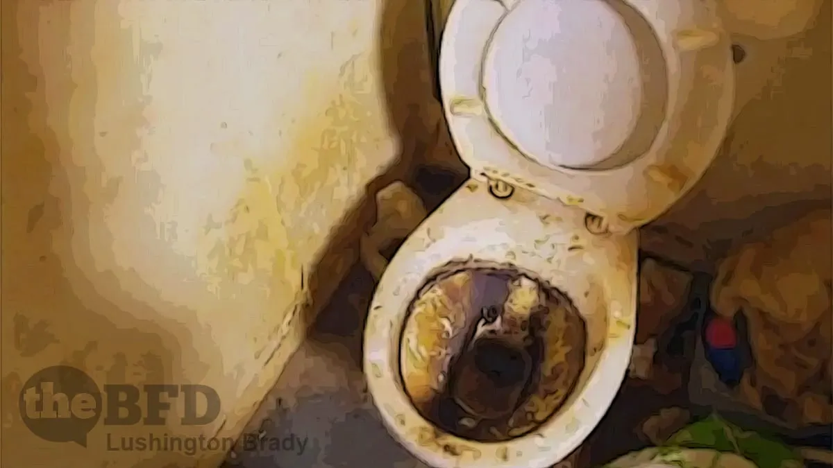 The Big Secrets Hidden in Albo’s Budget