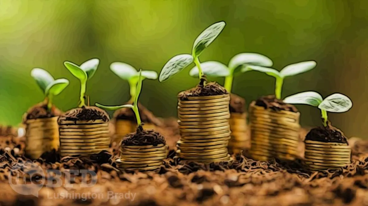 Flies Come Buzzing around the Green Honeypot