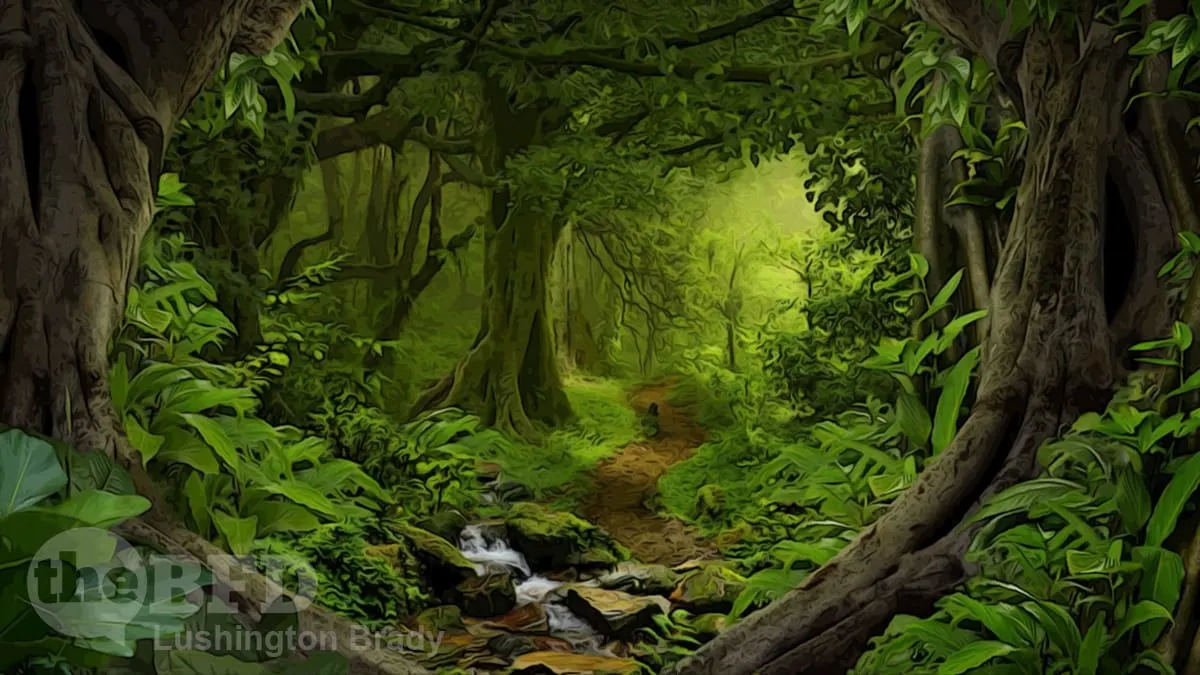 Why Fairy Stories Are Important