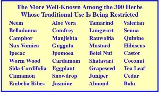 Are We Going Backwards or Rushing Ahead?